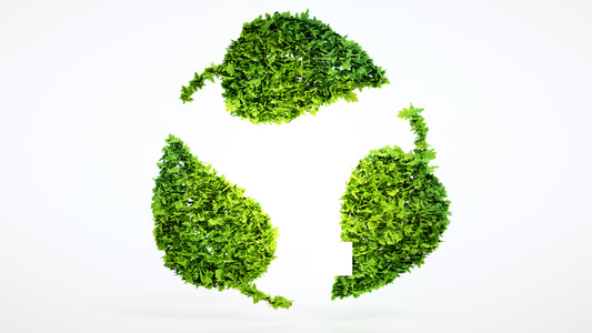 Our Journey to becoming a more Sustainable Hamper Business